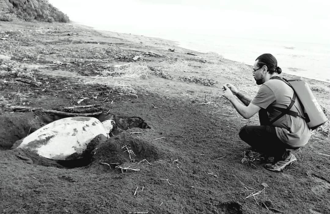 فندق Wildlife Art تورتوجويرو المظهر الخارجي الصورة